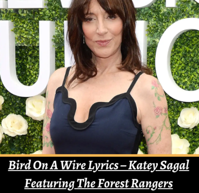 Bird On A Wire Lyrics – Katey Sagal Featuring The Forest Rangers
