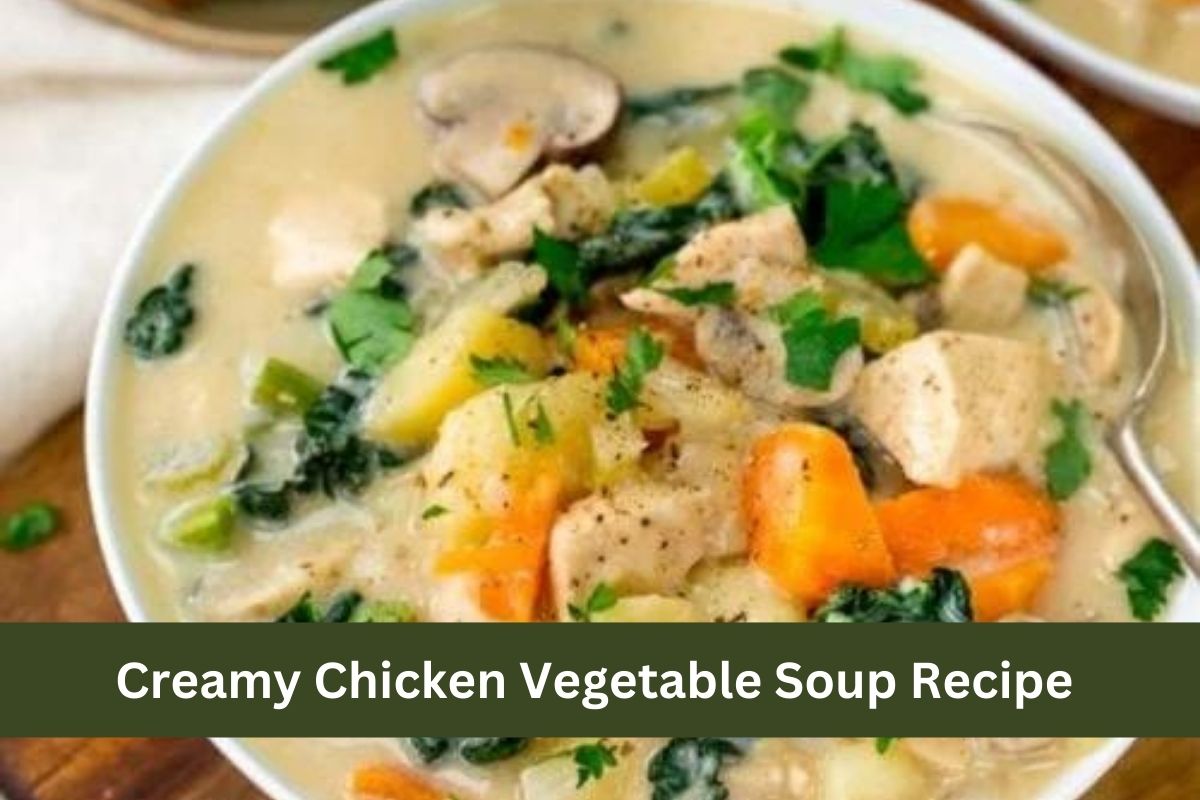 Creamy Chicken Vegetable Soup Recipe