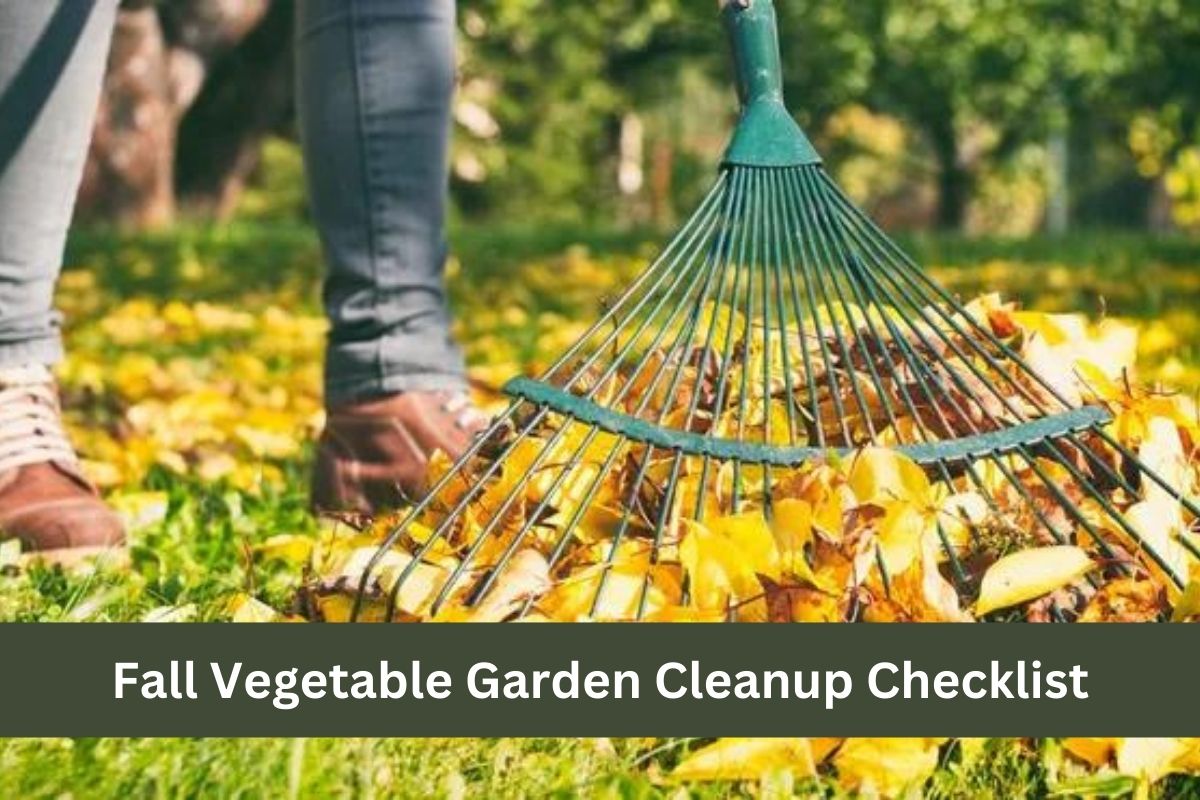 Fall Vegetable Garden Cleanup Checklist
